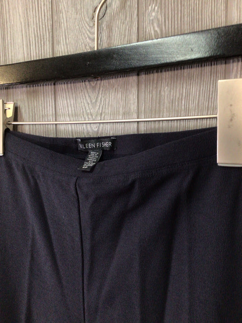 Eileen Fisher Pants Suit Size Small