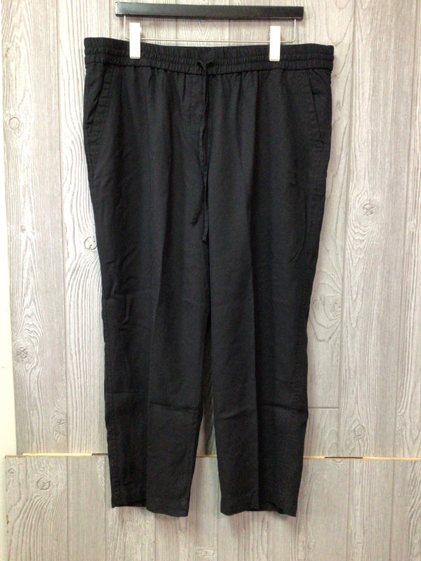 Talbots Pants Size 16P New