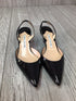 Manolo Blahnik Slingbacks Size 8.5