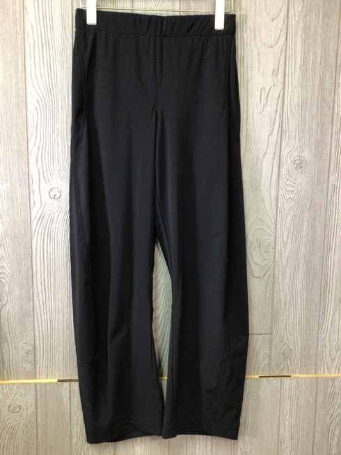 ruti Wide-ish Pants Size 2
