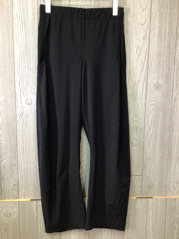 ruti Wide-ish Pants Size 2