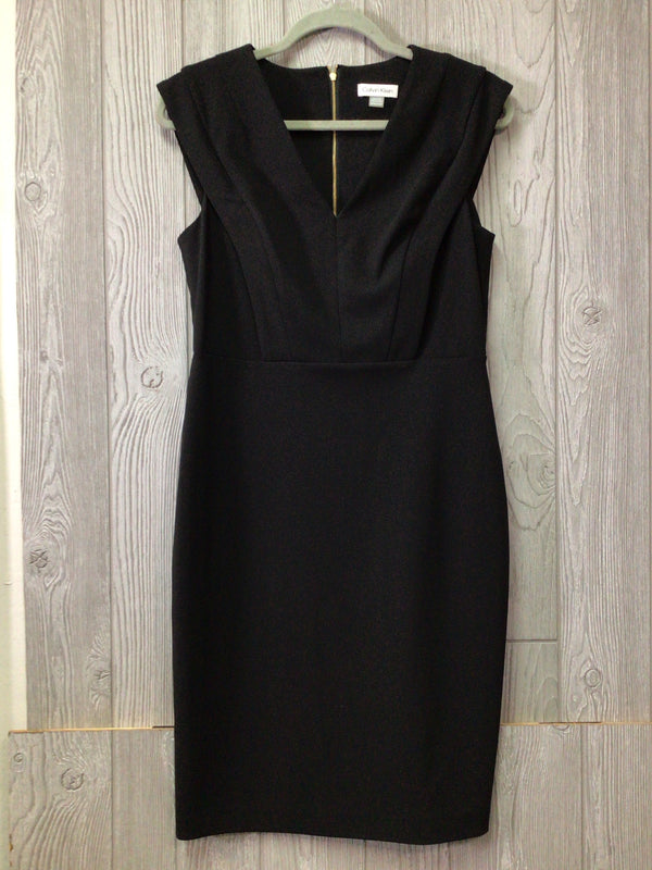 Calvin Klein Dress Size 10P