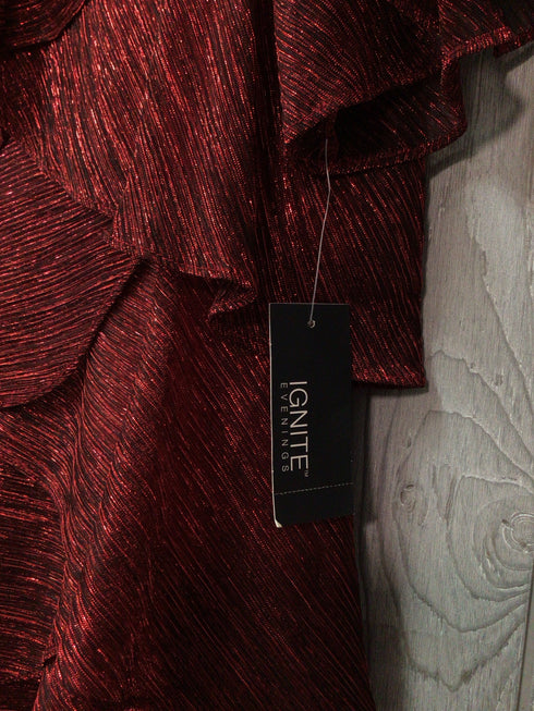 Ignight Evenings Dress Size 10 New