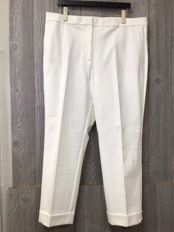 Ann Taylor Pants Size 16