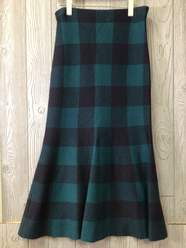 Ann Taylor Skirt Size Small