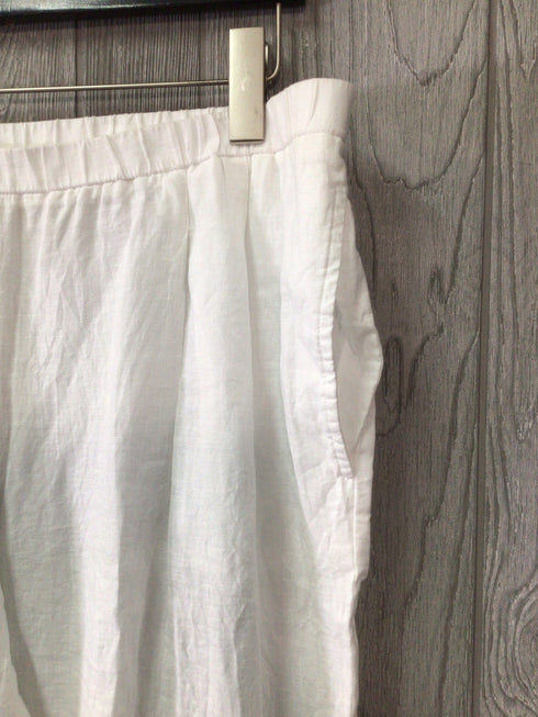 Eileen Fisher Pants Linen Size Large