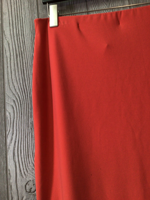Sympli Skirt Size 8