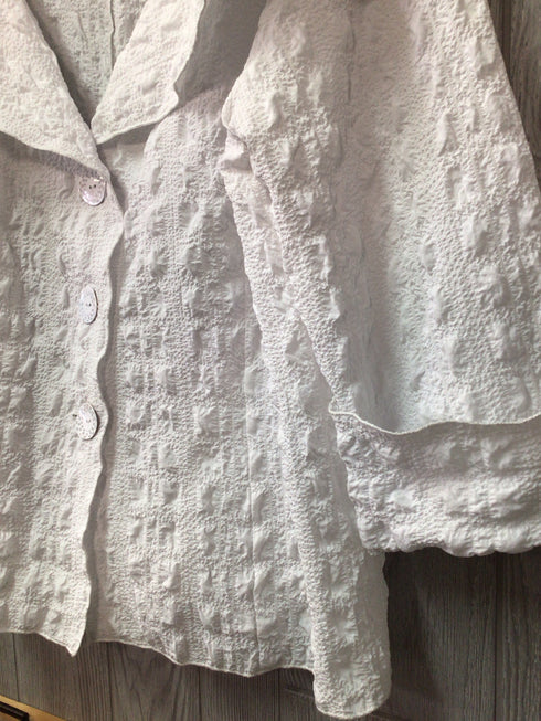 Courtney Washington Blazer Size 2X