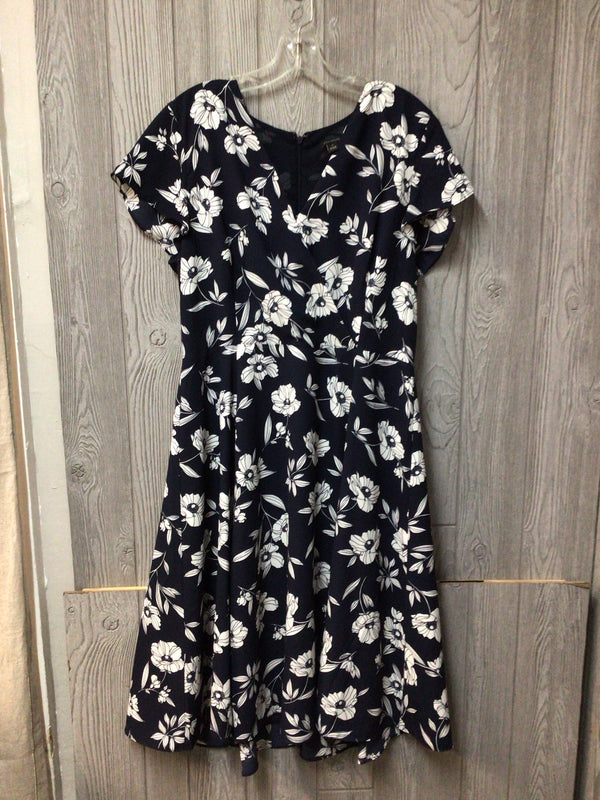 Ann Taylor Dress Size 12