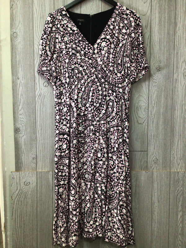 Talbots Dress Size 14P