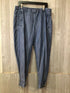 Eileen Fisher Pants tencel Size Large