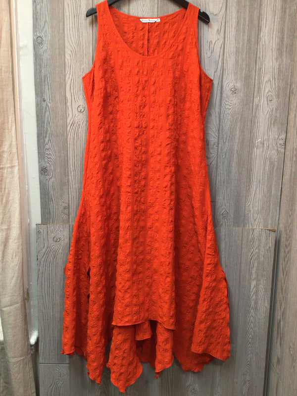 Courtney Washington Dress Size 1X