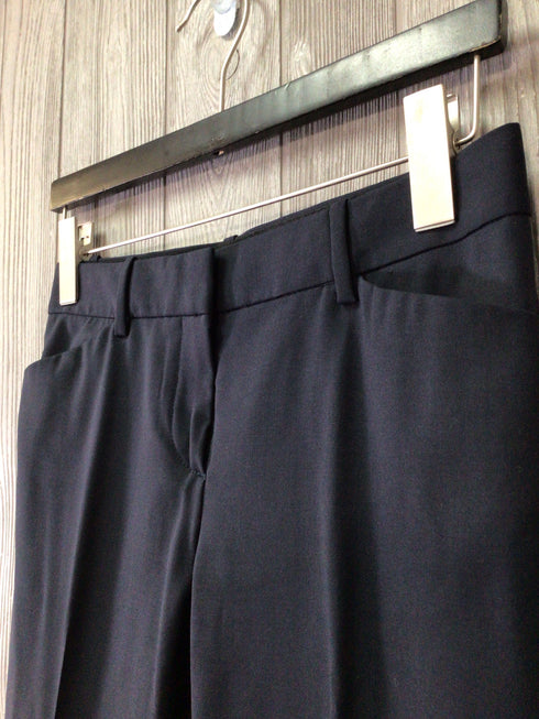 Theory Pants Suit Size 0-00